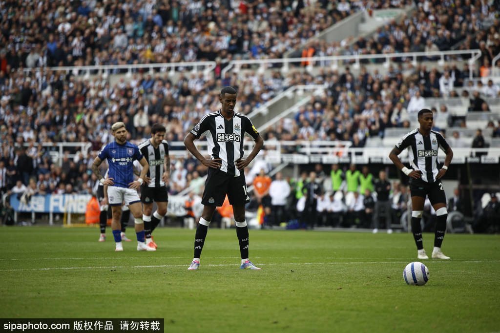 权并为队员 权并为队员